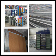 Reasonable Price Automatic Layer Cage for Hot Sale